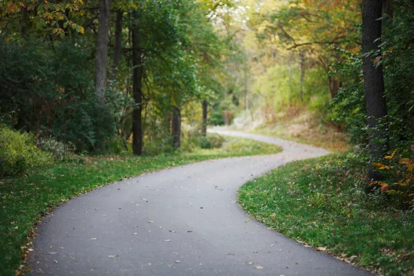 A winding path through trees