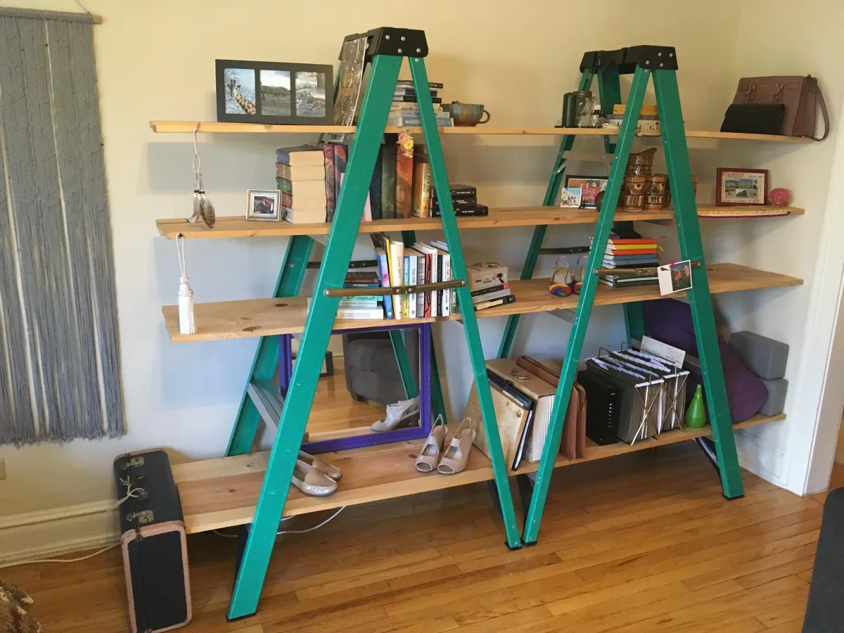 Decluttered bookshelf in Rogers Park, Chicago