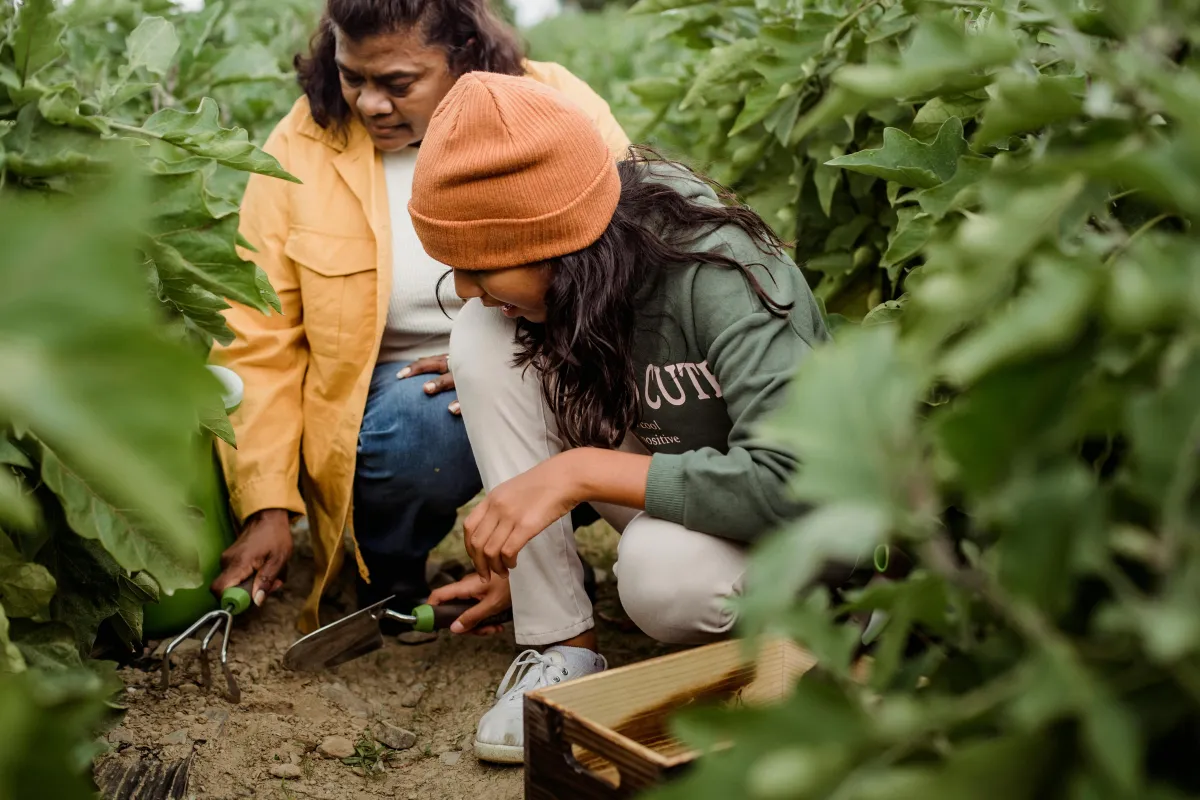 Local Farms on Community Growth