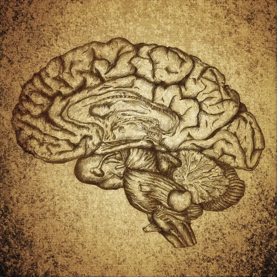 Your Intelligence Makes You Invaluable