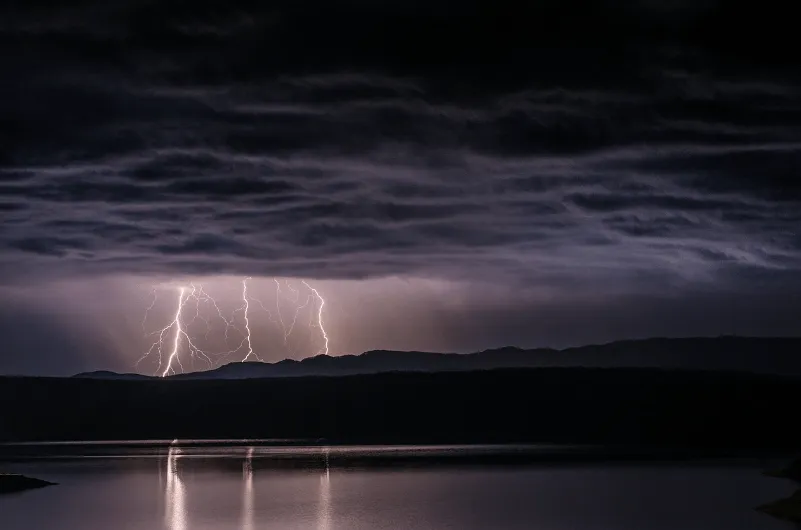 Why Verve & Spark's Logo Might Shock You