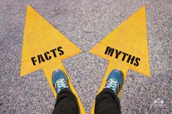 Real Estate Investing Myths That Keep You from Growing Your Wealth
