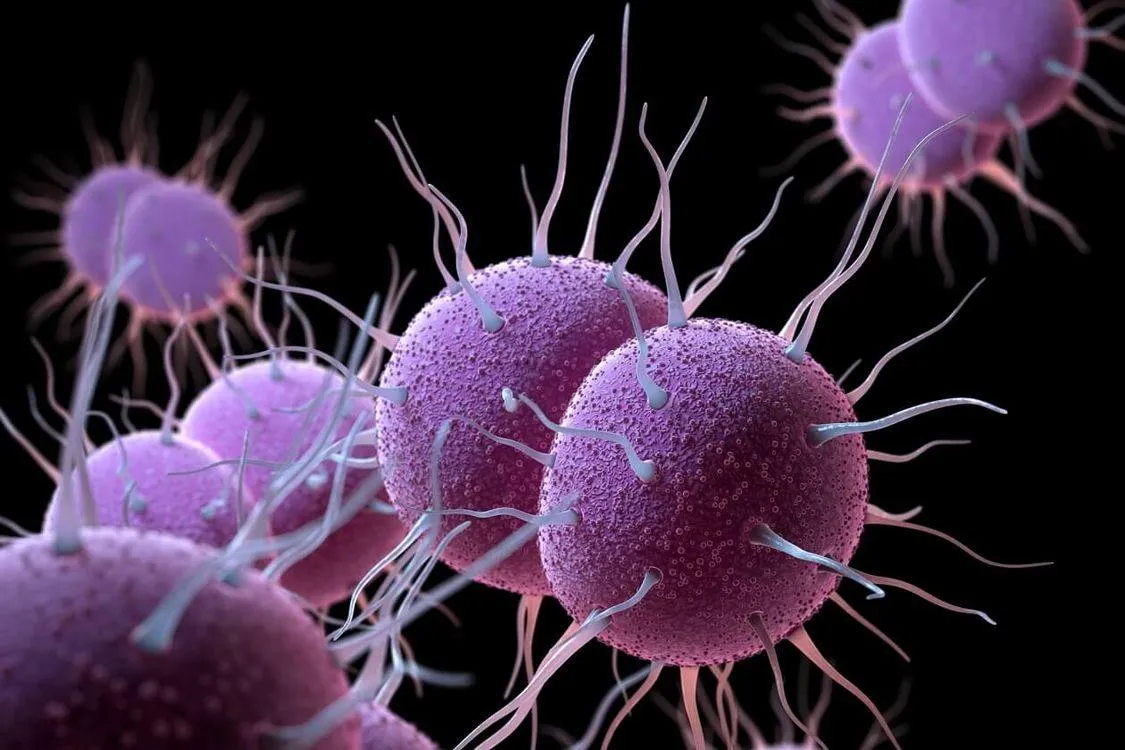 Gonorrhée à Montréal : comprendre la hausse des cas et l’importance du dépistage