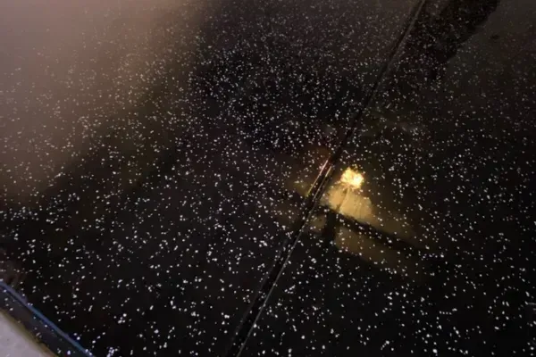 Polyaspartic Floor Coating in Fountain Hills, AZ | Quick Response Garage Floor Coating