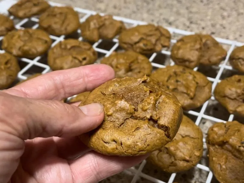 Looking for Some Tasty-Yet Healthy-Fall Foods?
