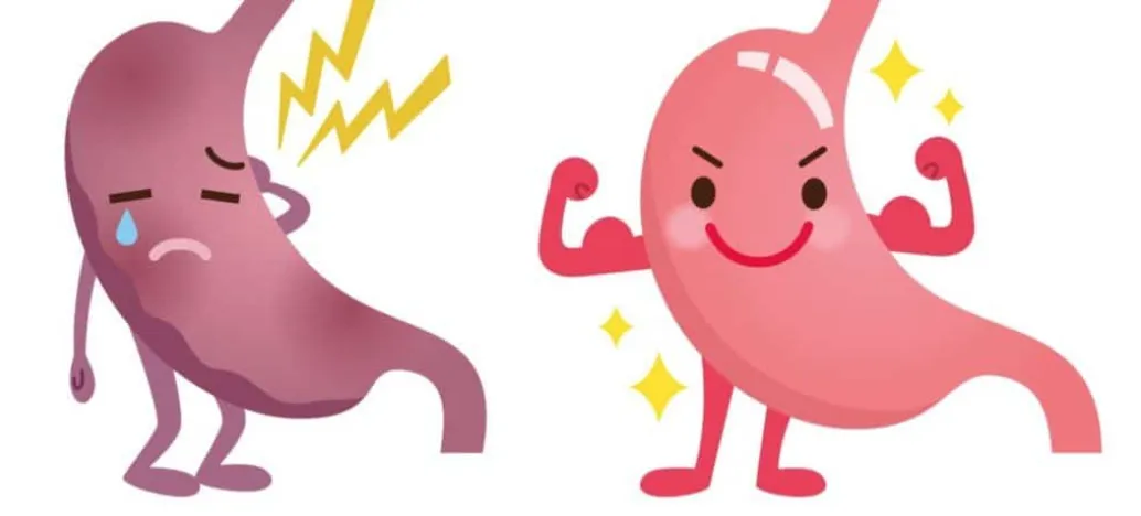 The Quality of Your Life Depends on the Health of YOUR GUT!