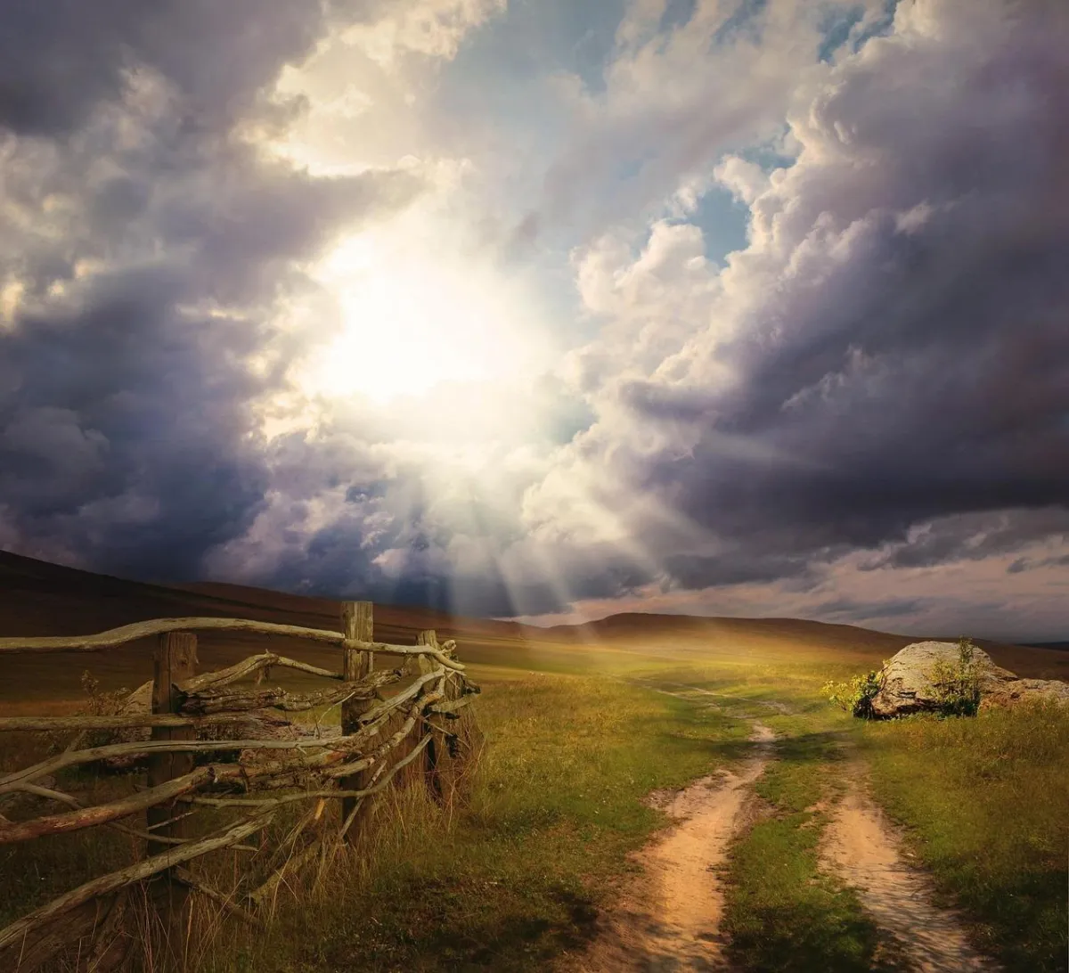 My journey through depression, anxiety, and panic—and how Jesus brought lasting freedom