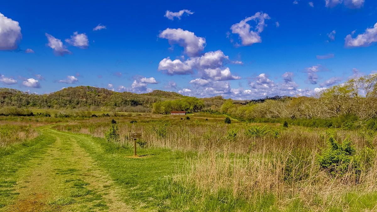 The Secret Side of Nashville: Why Bells Bend Park Is the Chill Escape You’ve Been Craving