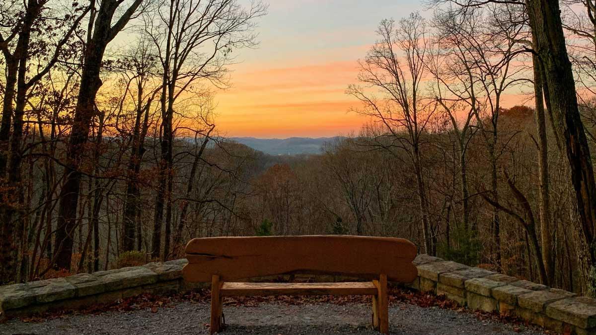 Trail Magic & Forest Vibes: Why Warner Park Nature Center Is Nashville’s Natural Playground