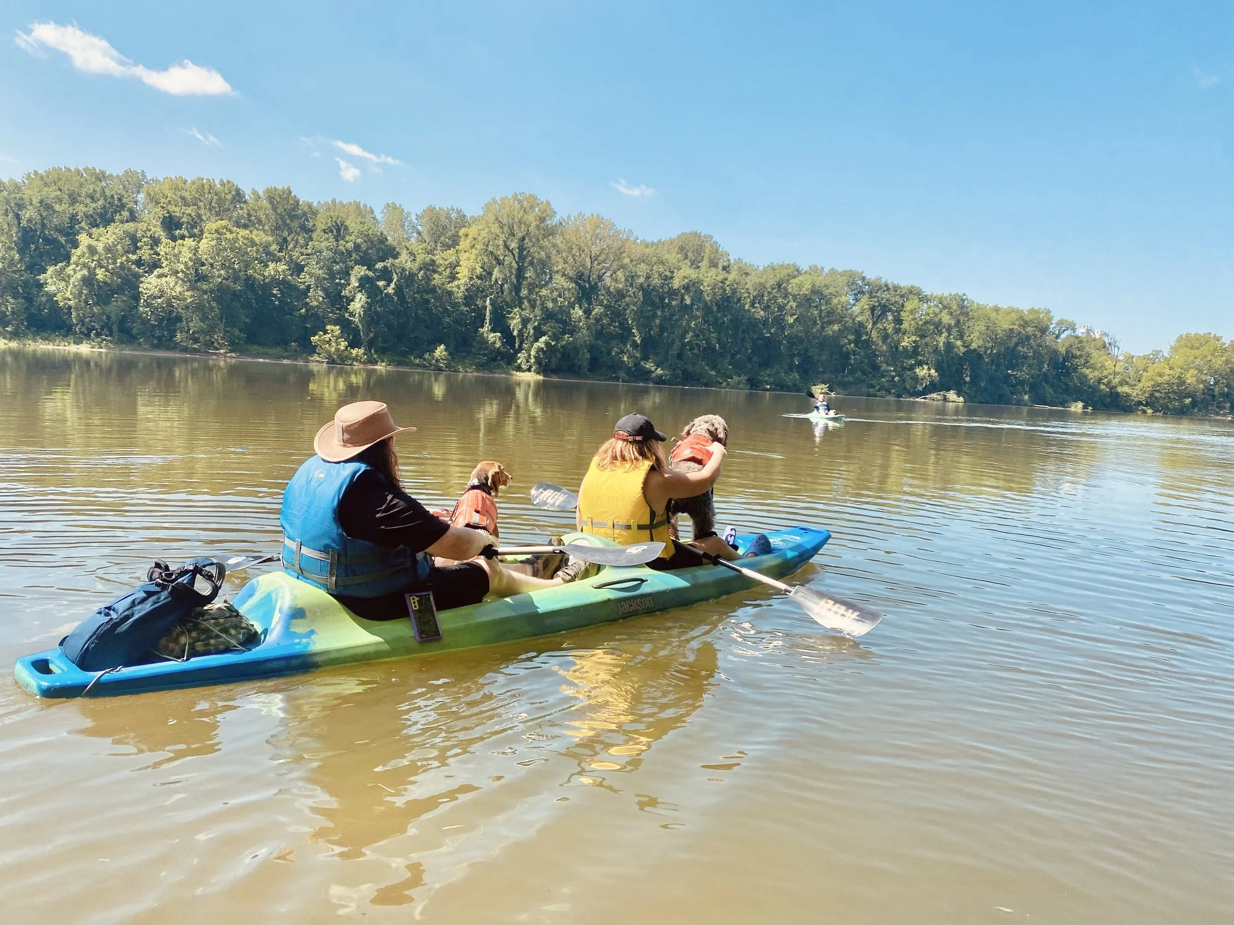 Glide Through Music City: Nashville Paddleboard & Kayak Rentals Adventure