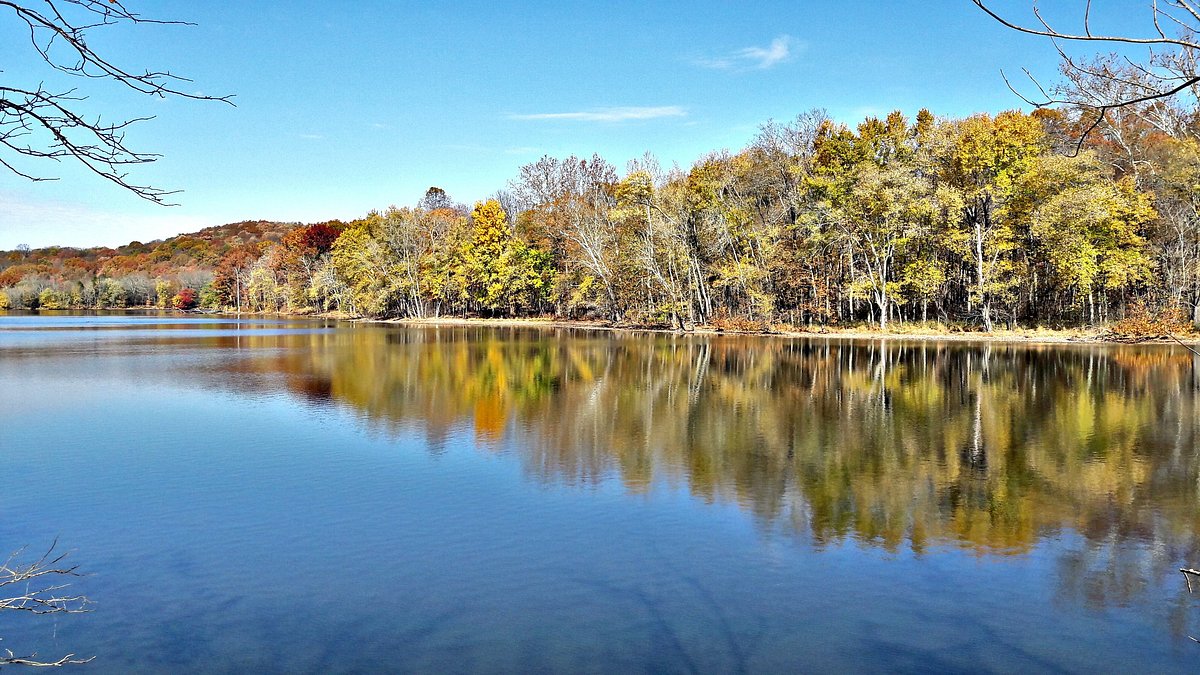 Explore Radnor Lake State Park: Nashville’s Nature Escape