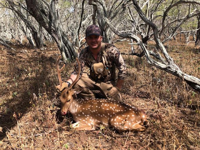 A hunter with their axis deer