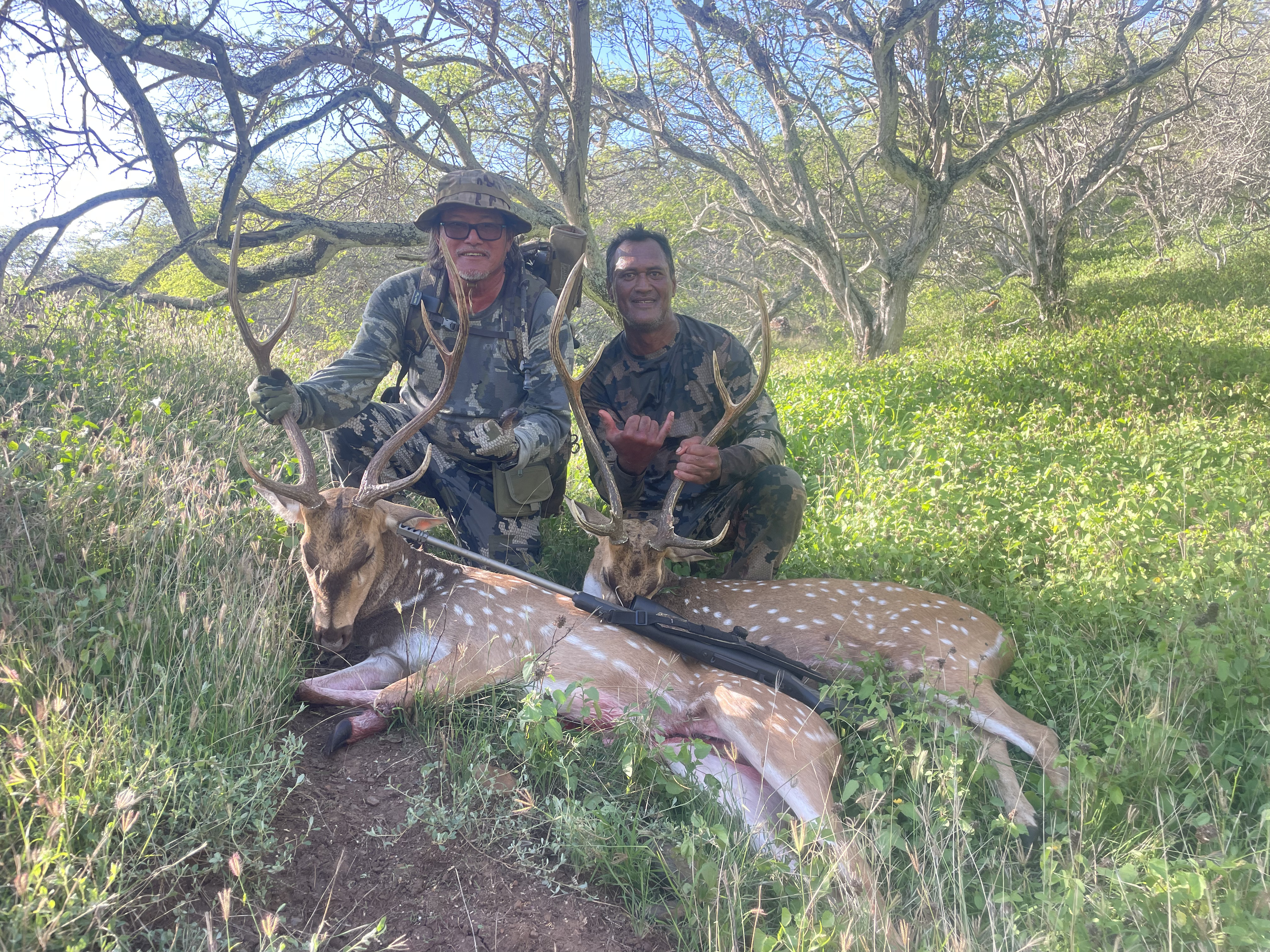 What Are Limiting Factors in Hunting in Hawaii?