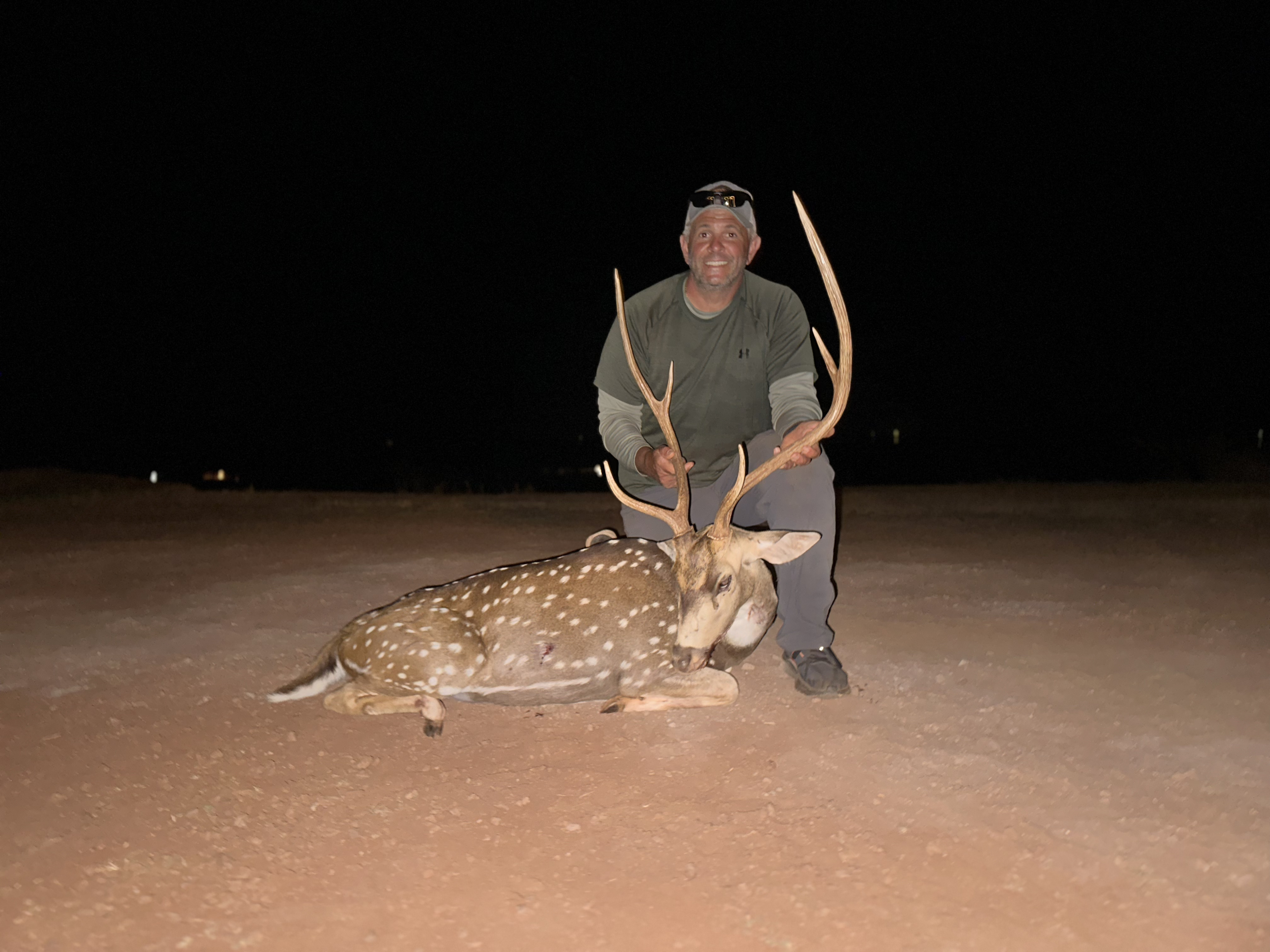 What should you check before choosing a firearm for hunting in Hawaii?