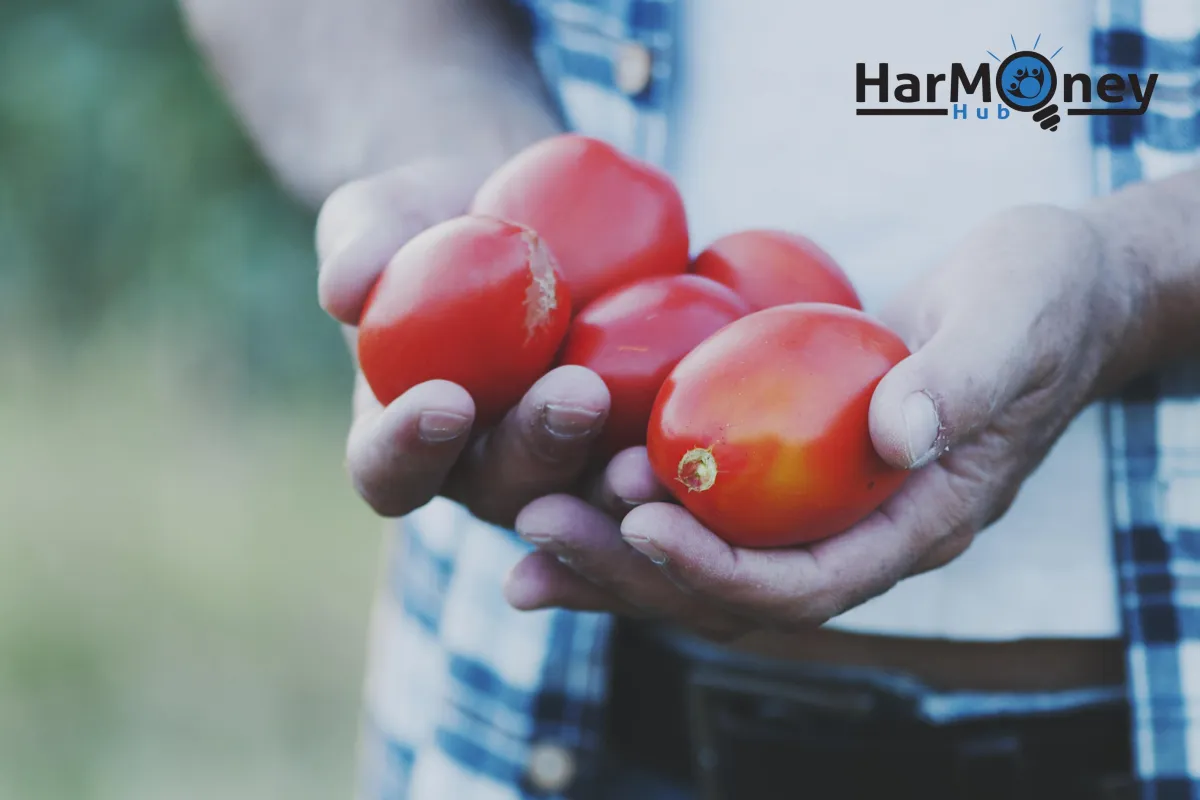Acts of Generosity – The Magic of Giving Back