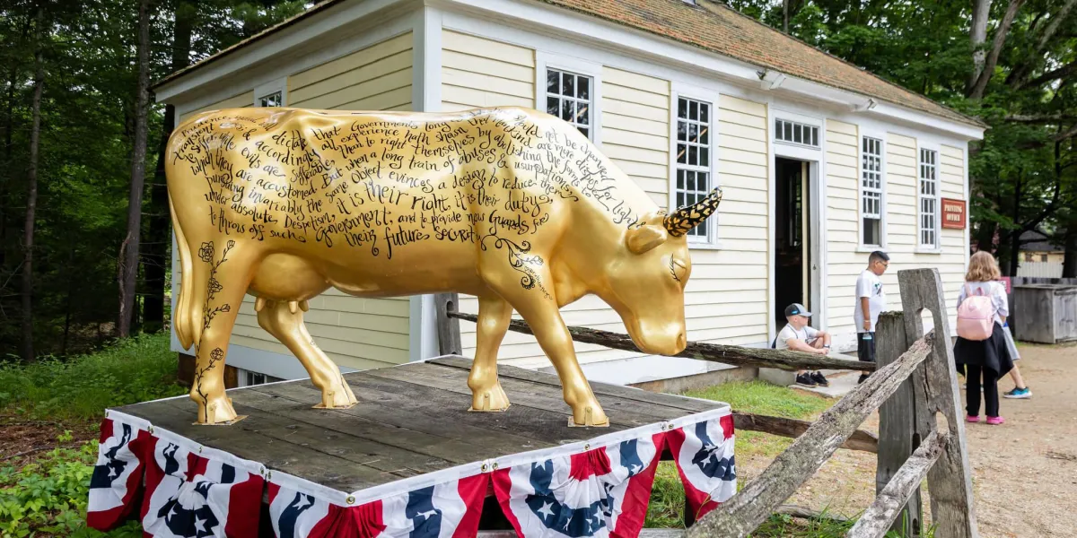 A golden cow painted with the words of the Declaration of Independence