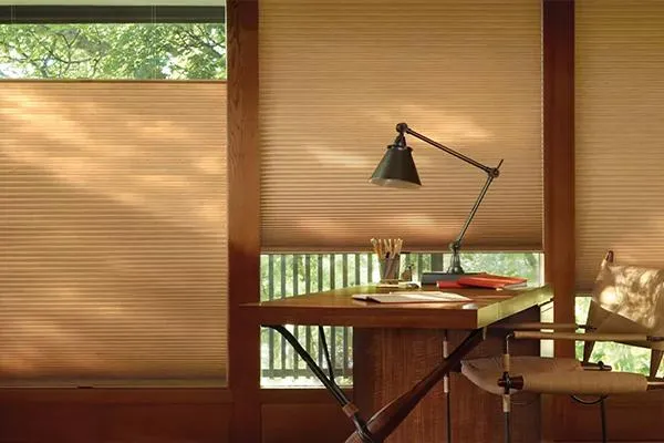 How to Enhance Natural Light with the Right Window Coverings