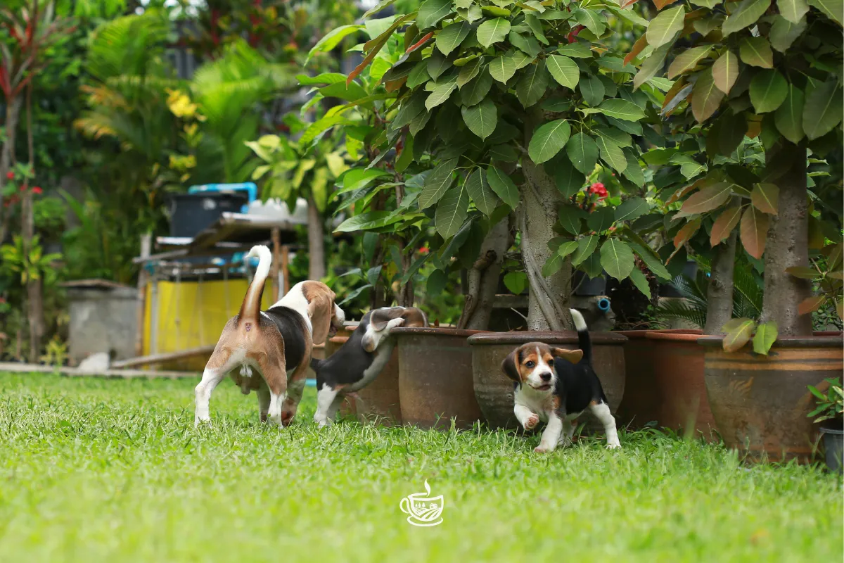 The Long Days of Watering: Slow Faithfulness in the Heat