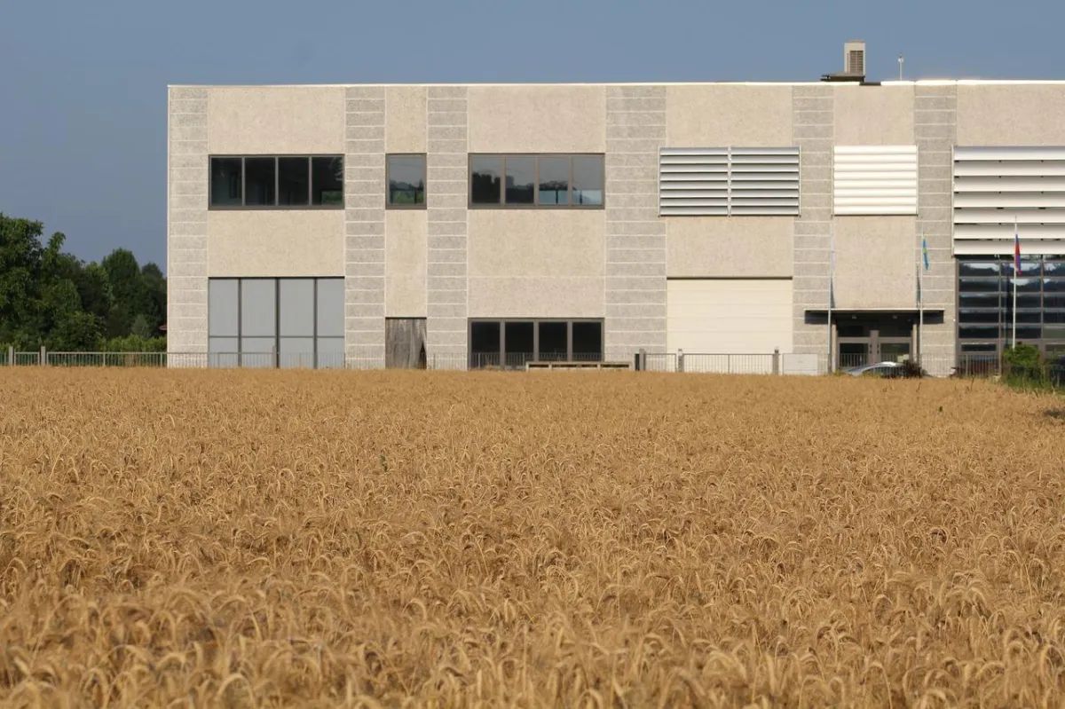 Big Ad Agencies Are Finally Dying
