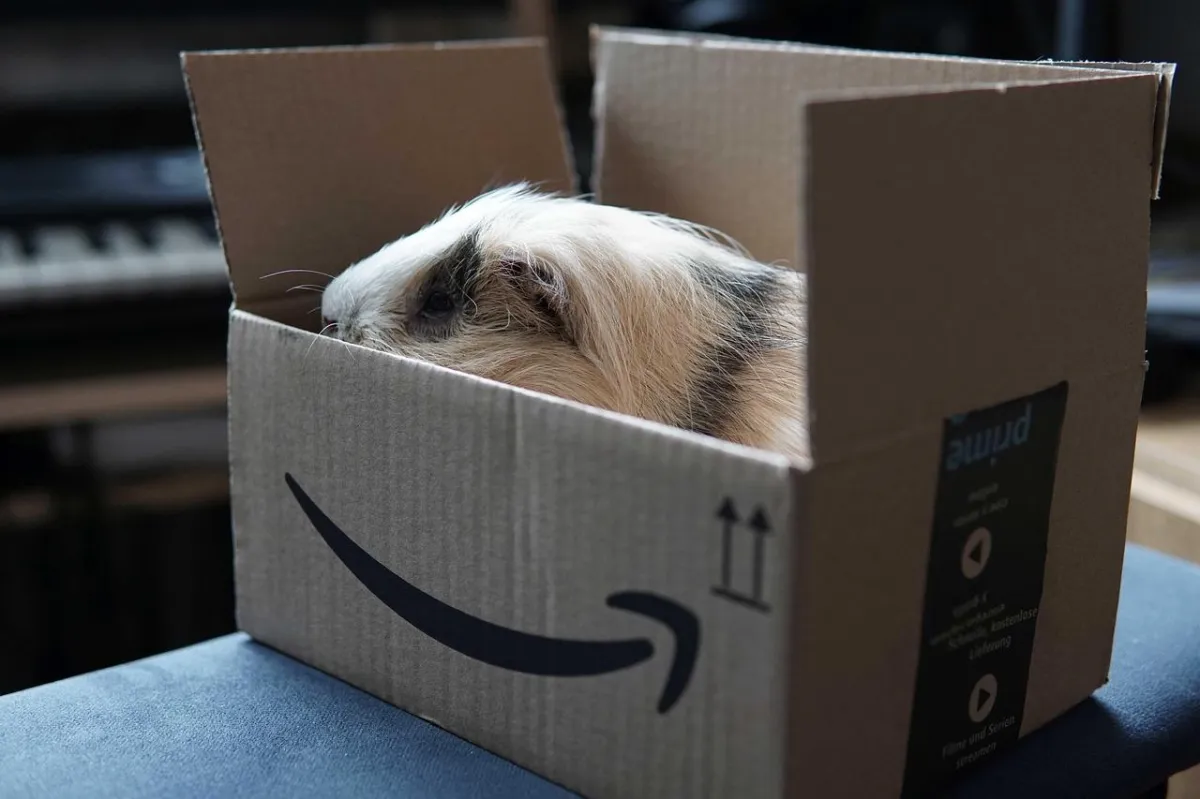 Prime Day Data Reveals How Contractors Win