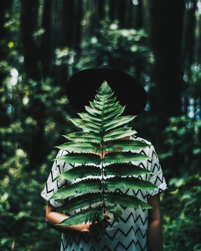 man hiding behind large leaf
