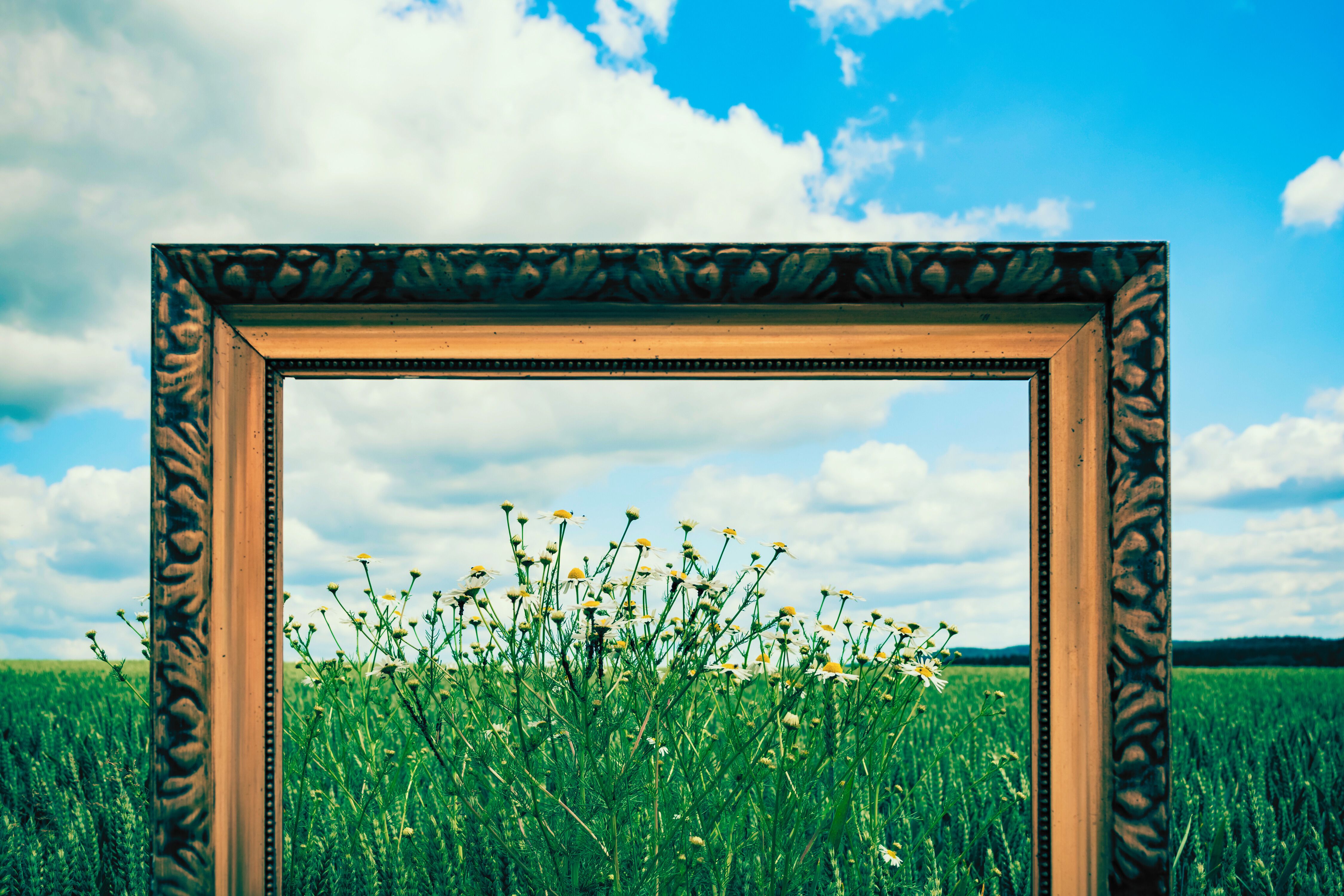 Framing What Matters: Turning Experience Into Evidence