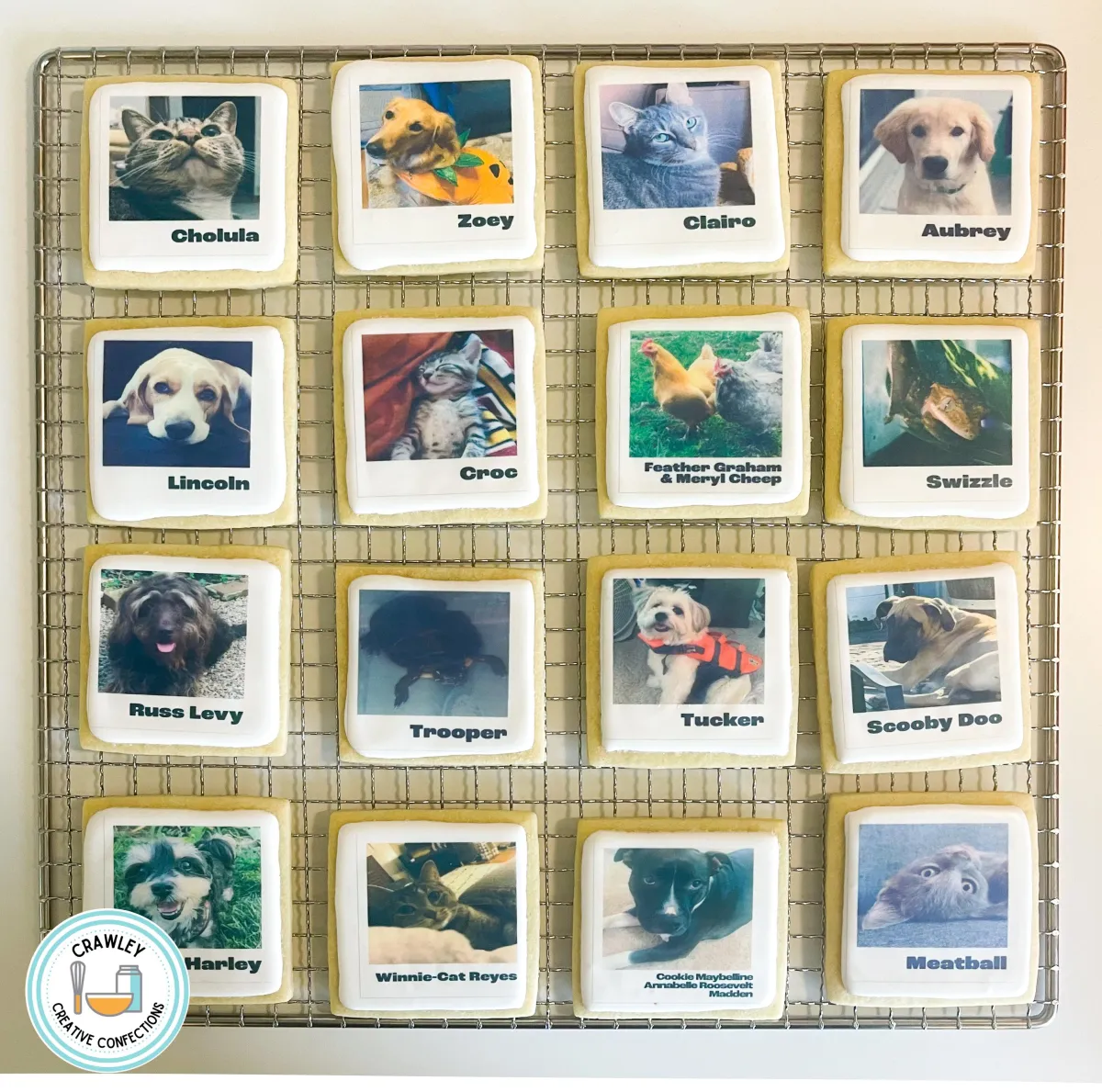 A delightful set of sugar cookies designed to look like Polaroid pictures, each featuring an edible image portrait of a pet with its name written underneath in a charming font. The cookies showcase various pets, including dogs, cats, and other furry friends, with intricate details capturing their unique features and personalities. The white border and realistic design add a nostalgic touch, making them a perfect tribute to beloved pets.
