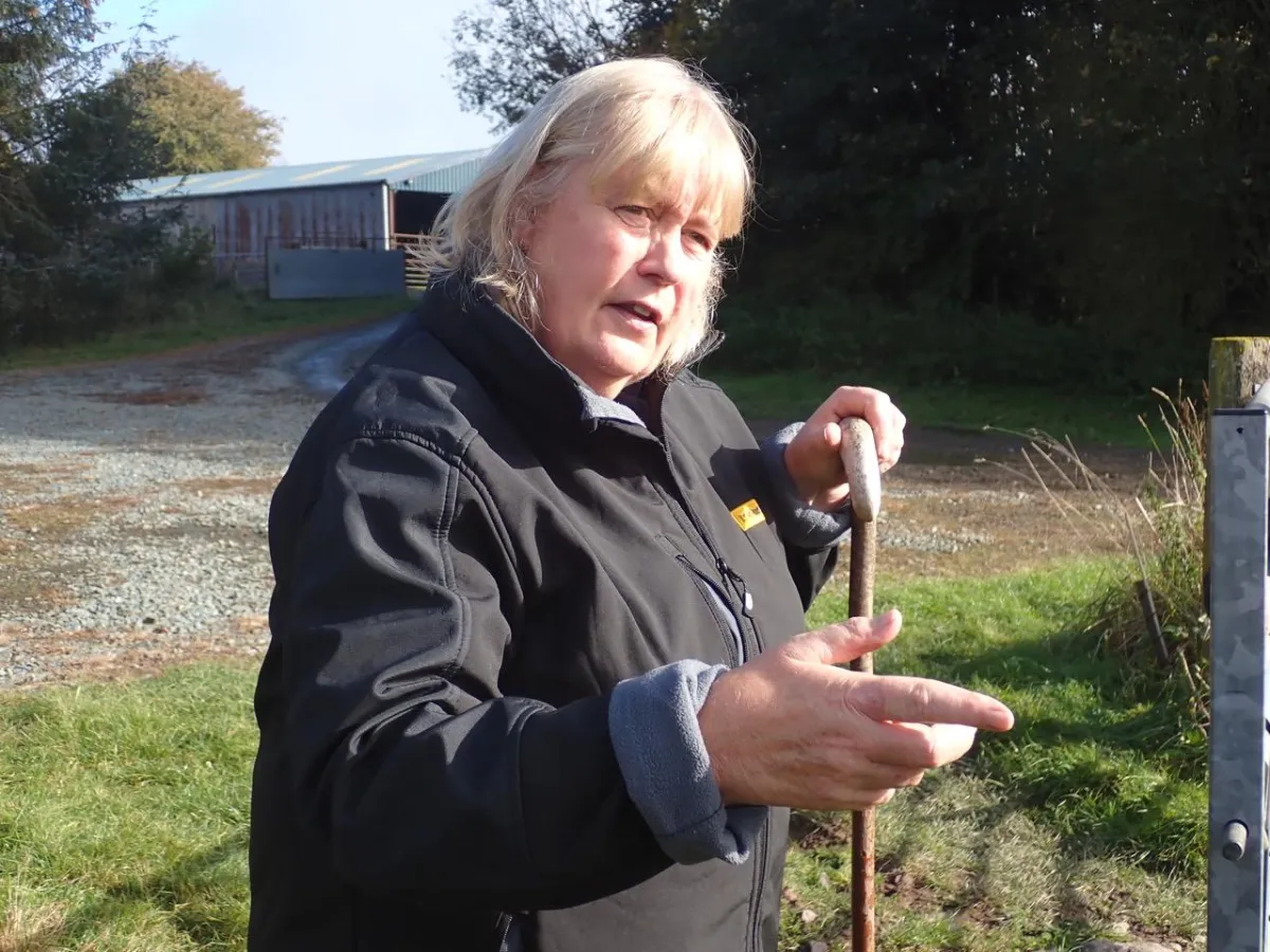 Reduce stress by seeing the world through the eyes of a cow