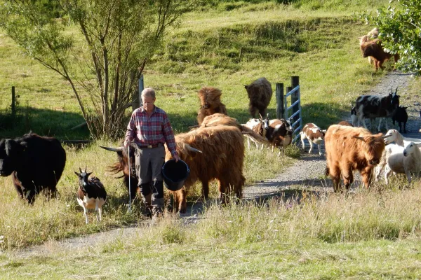 Starting My Life's Work at 70