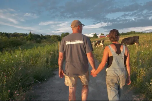 Less Stress, More Grass