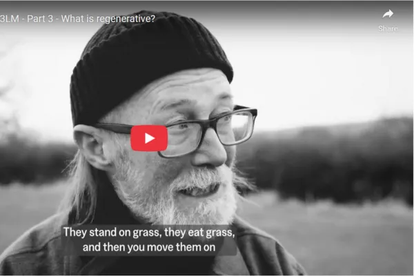 What is regenerative?