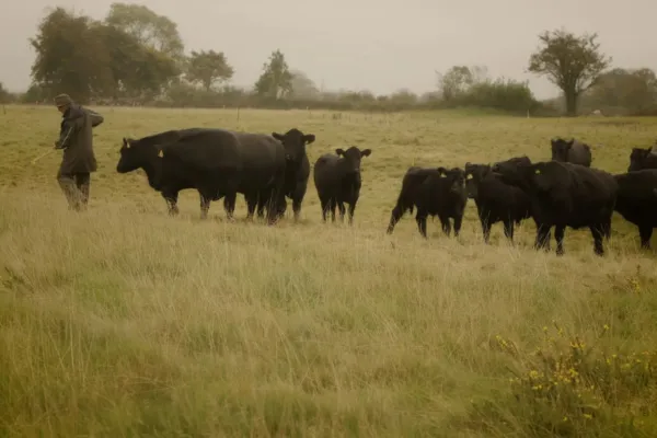 Improve your bank balance by working with nature