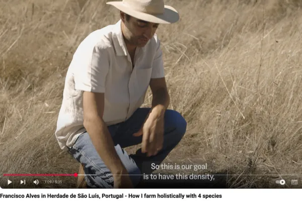 Portugal's Montado: Ancient Roots, Regenerative Future