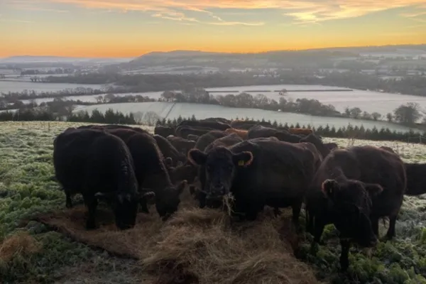 An exceptional opportunity: Farm Manager role at Cabalva