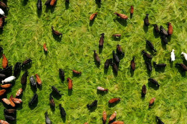 Moving Towards Regenerative, Together