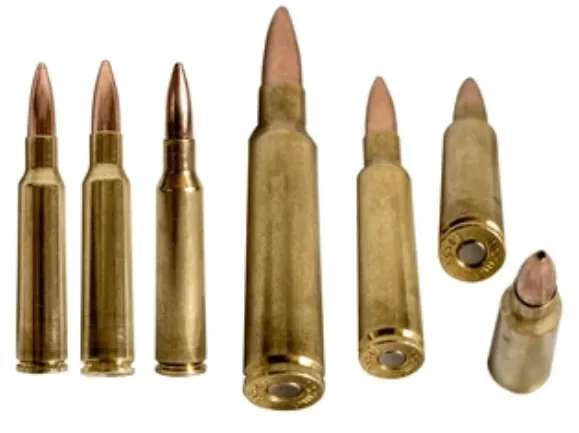 Correct Caliber Cartridge Reference