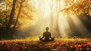 The Mind-Body Connection in Longevity: Why Your Thoughts Shape How You Age