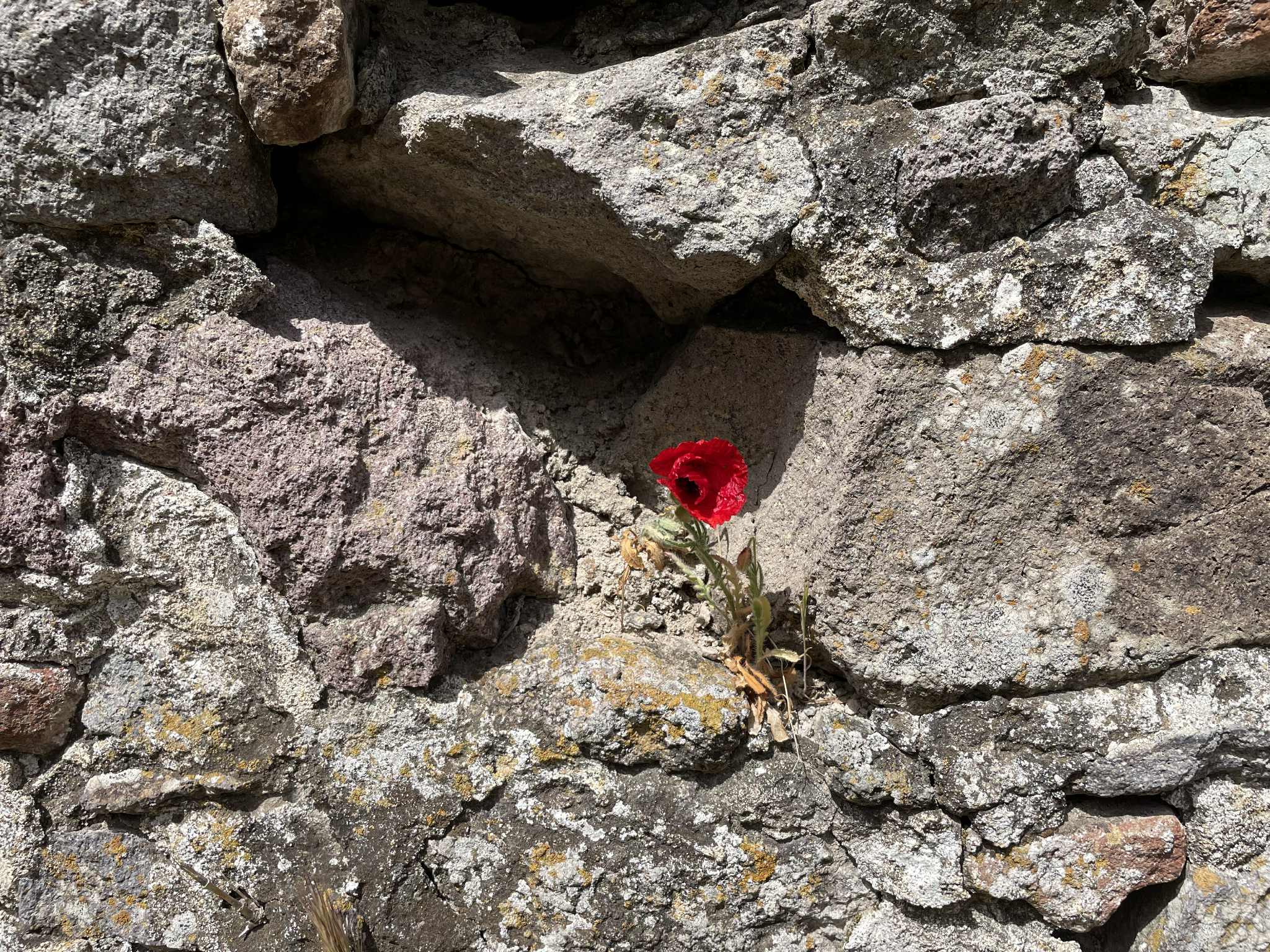 Over niet wegrennen, maar gaan staan