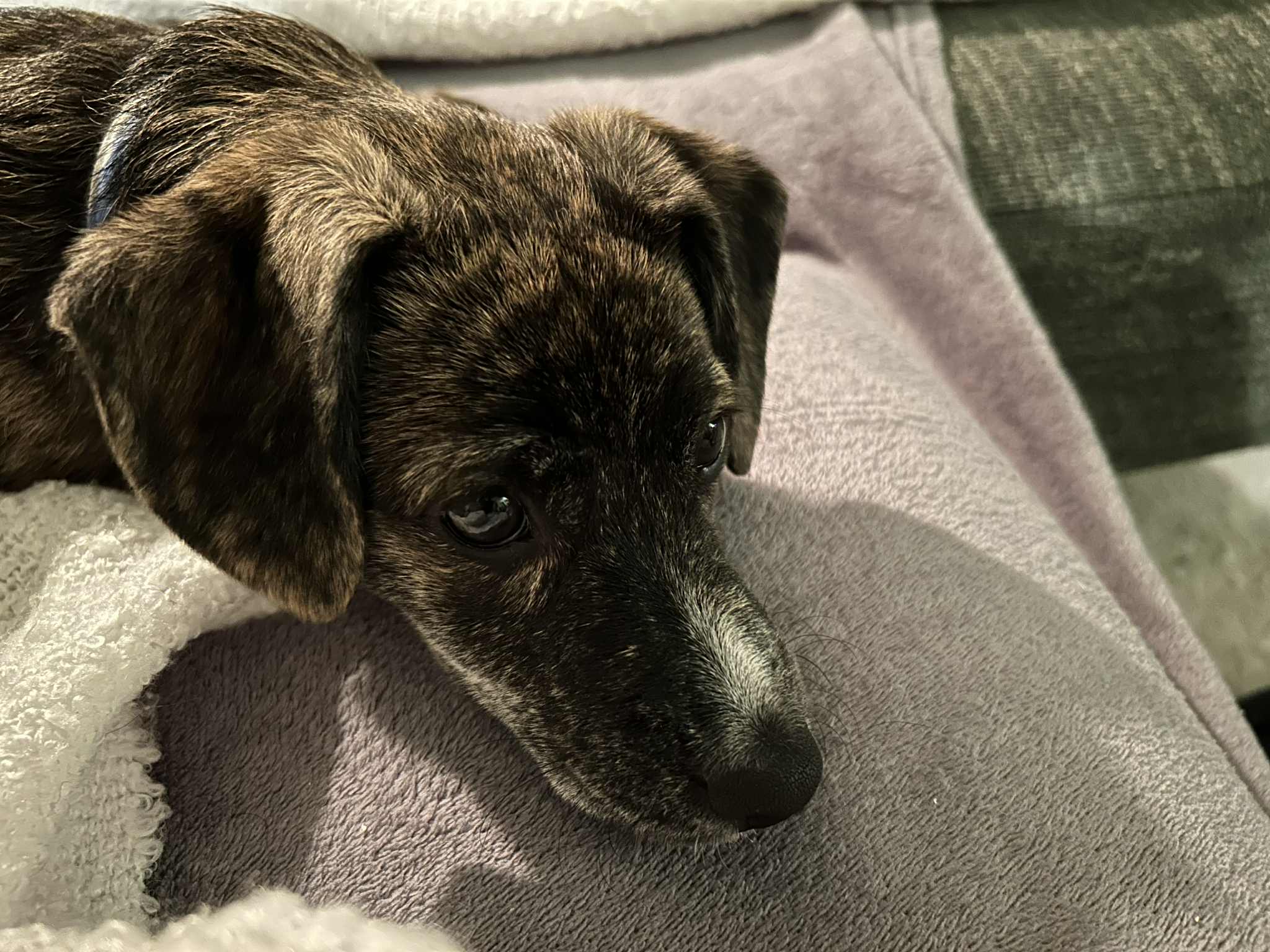 Niet falen maar voelen