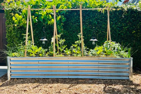 raised garden bed
