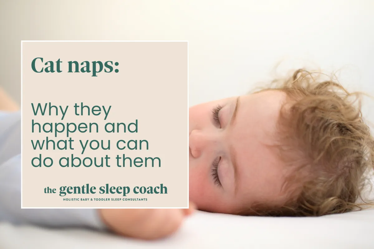 Catnaps: Why they happen and what you can do about them