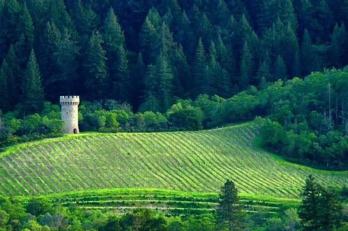 Napa Castle in springtime