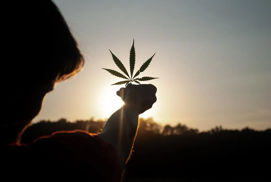 The Natural Revolution: How Growers Choice Plant Guard HOCl is Transforming Cannabis Cultivation