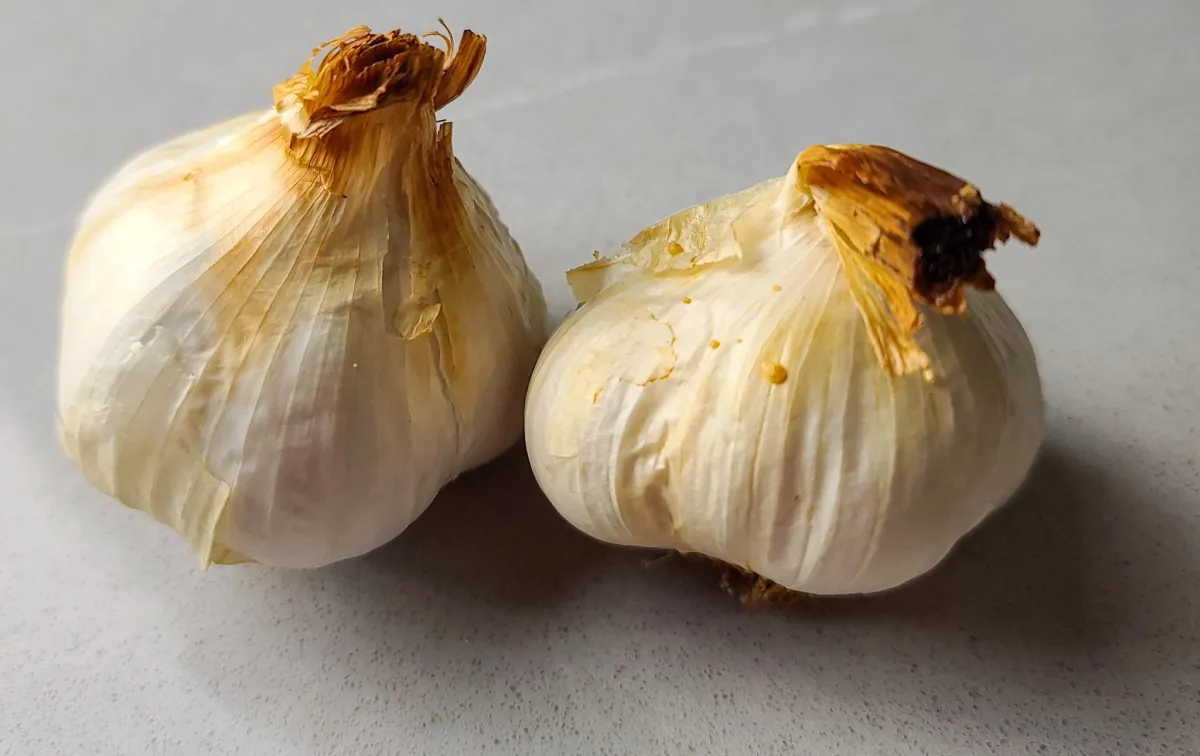 roasted garlic