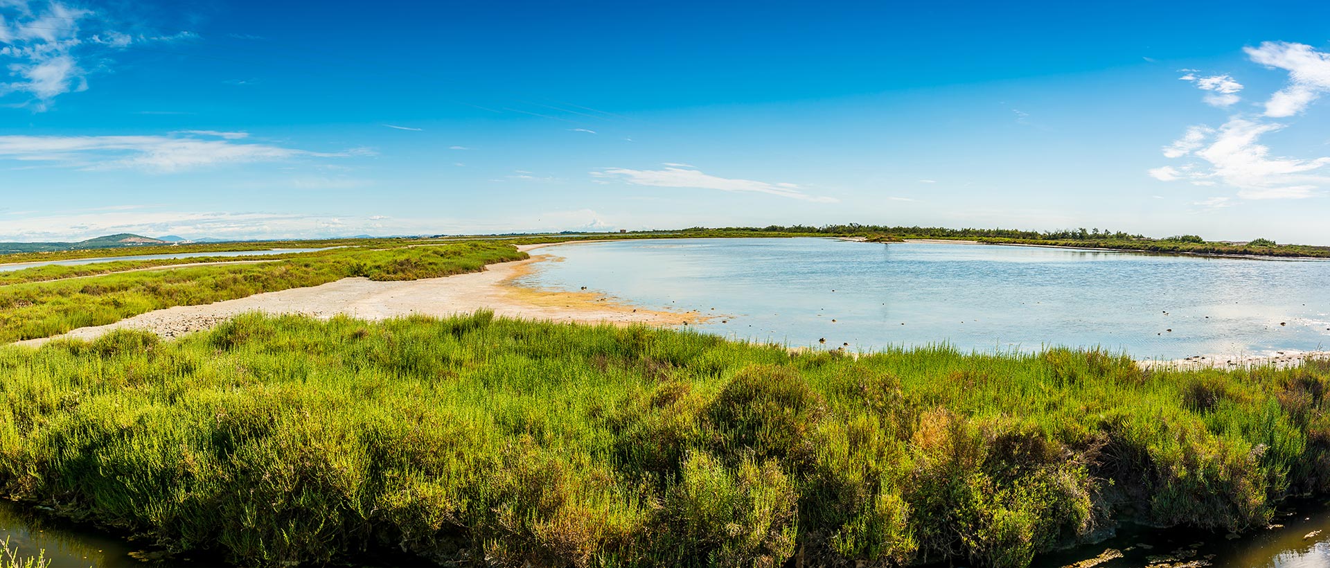 Immobilier à Vic-La-Gardiole en 2026