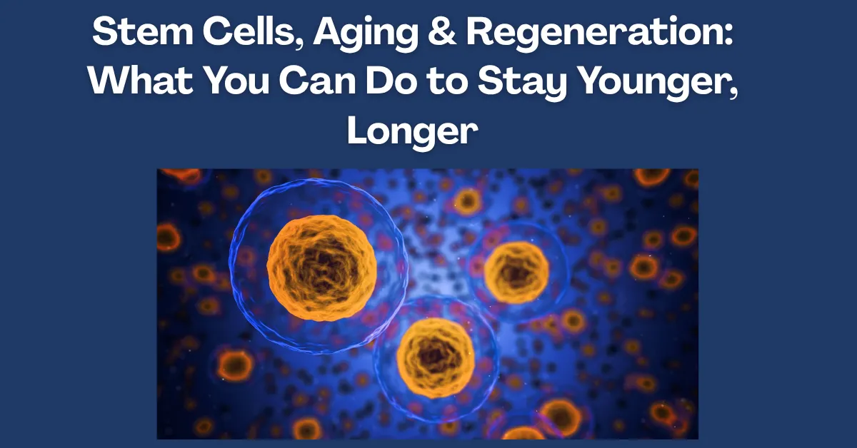 Stem Cells, Aging & Regeneration: What You Can Do to Stay Younger, Longer