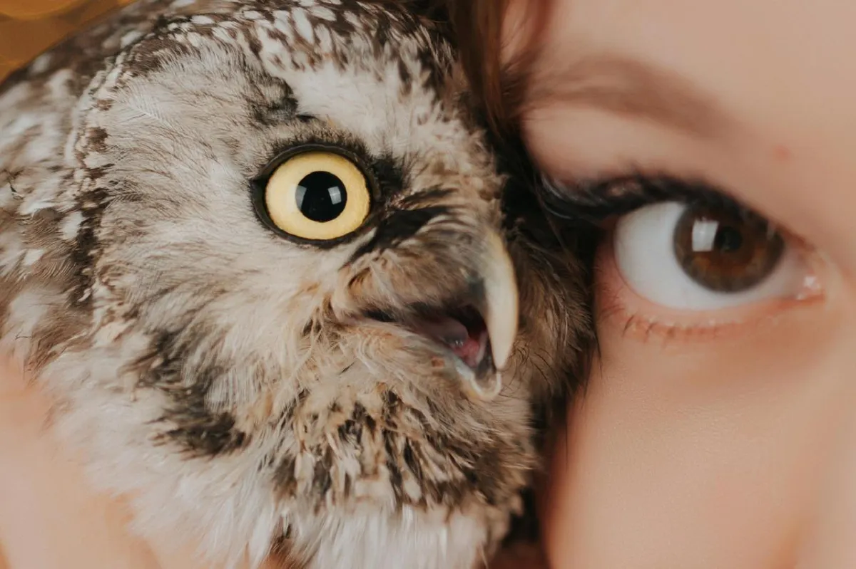Owl and Woman