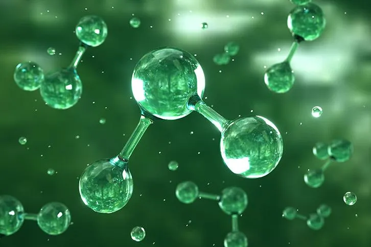 Does Ammonia Kill Mold?