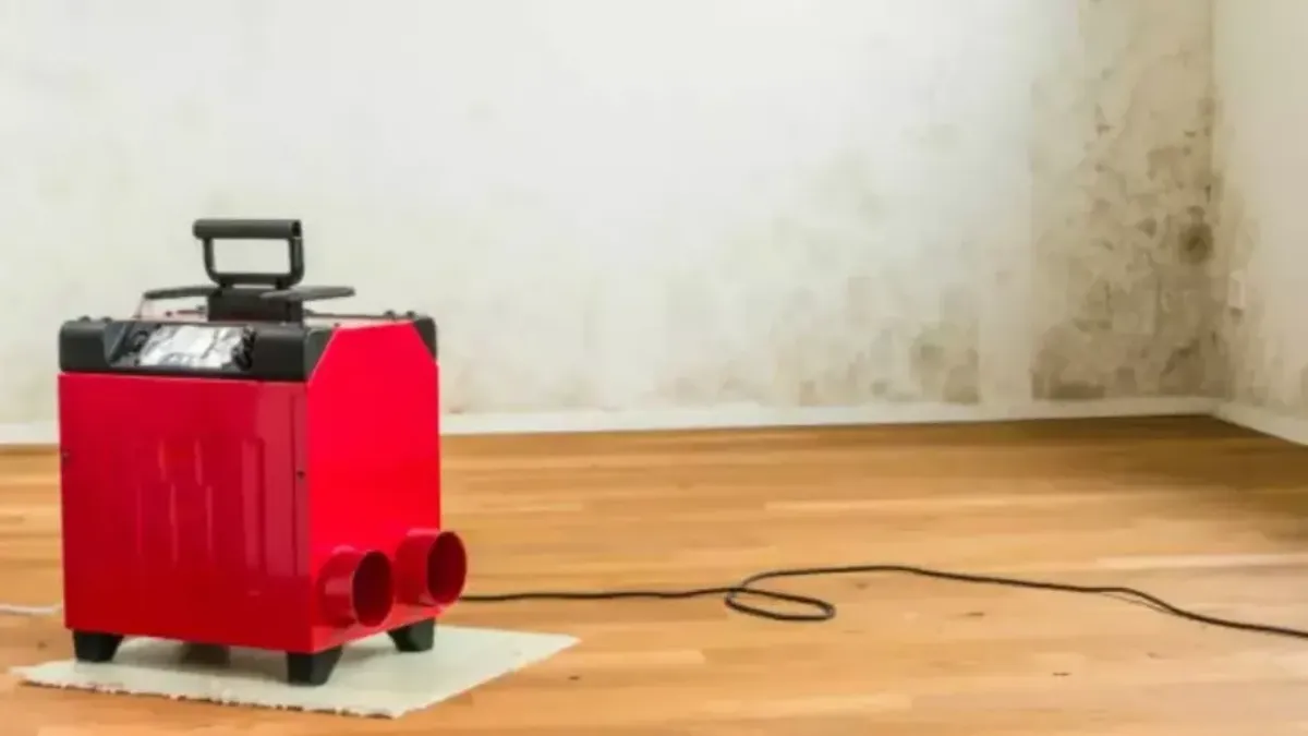 Do Dehumidifiers Help With Mold?
