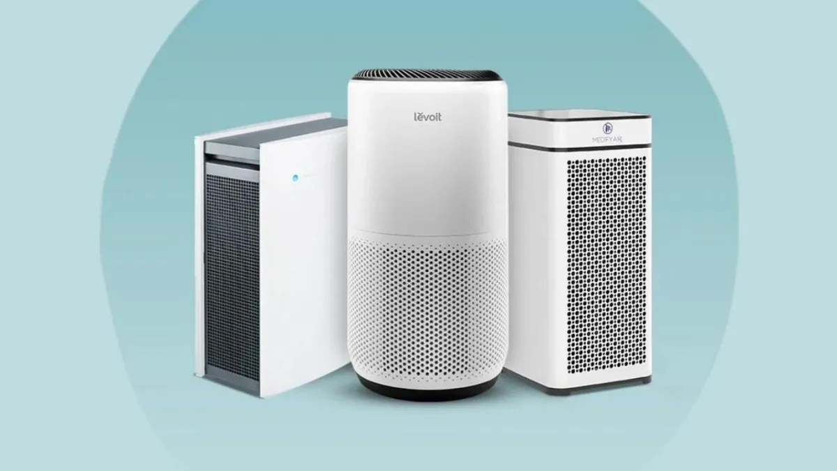 Does an Air Purifier Help With Mold